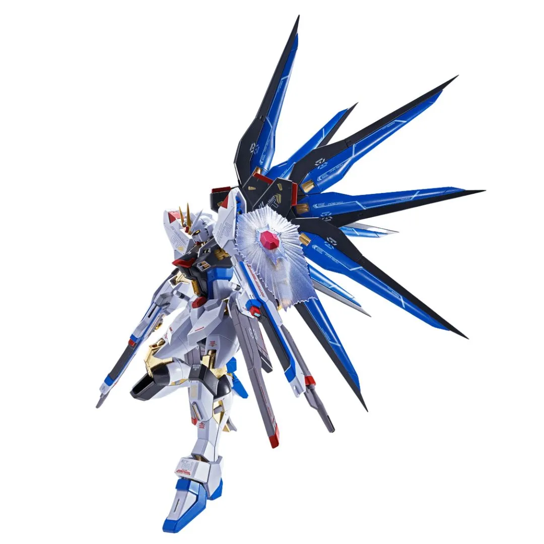 Metal Robot Spirits <Side Ms> Strike Freedom Gundam [Re:Coordinate] By Tamashii Nations